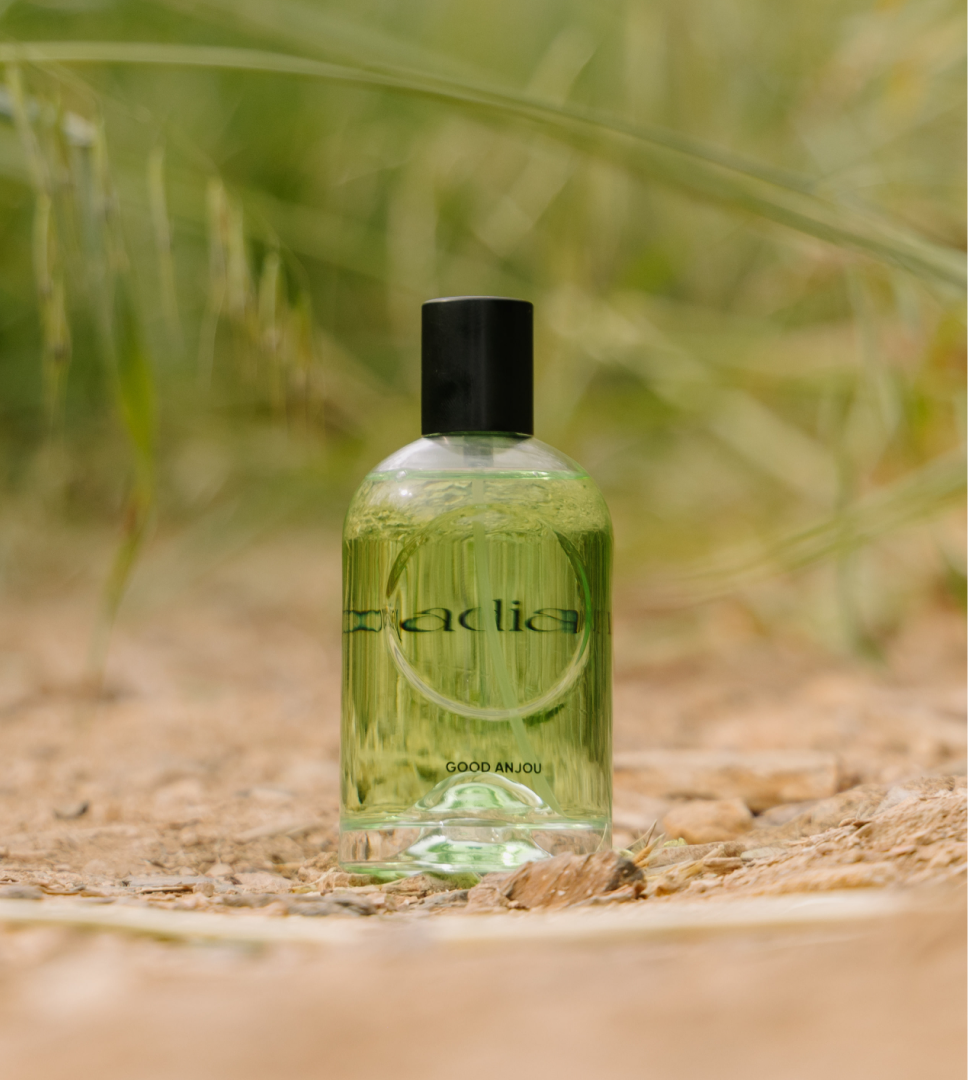 Cirqadian Good Anjou bottle standing outdoors on a dirt path surrounded by sunlit tall grass
