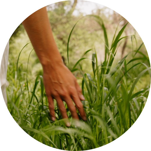 A close-up circular photo of a person's hand gently touching tall green grass in an outdoor setting with blurred foliage in the background.