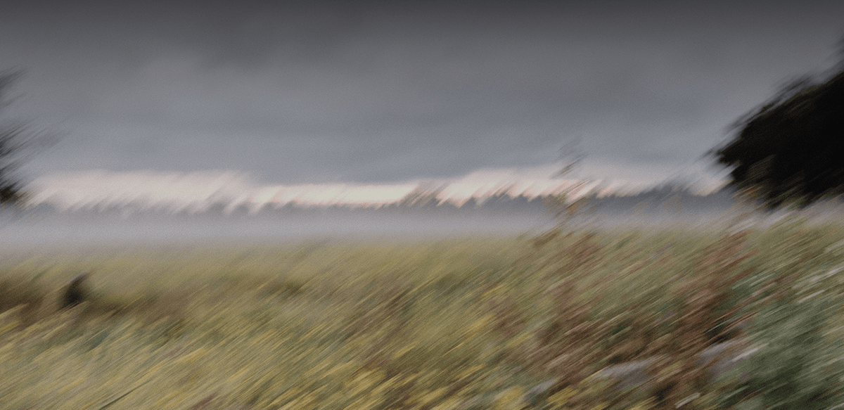 Wind-blown grass field beneath a stormy sky, banner image for The Reset Ritual
