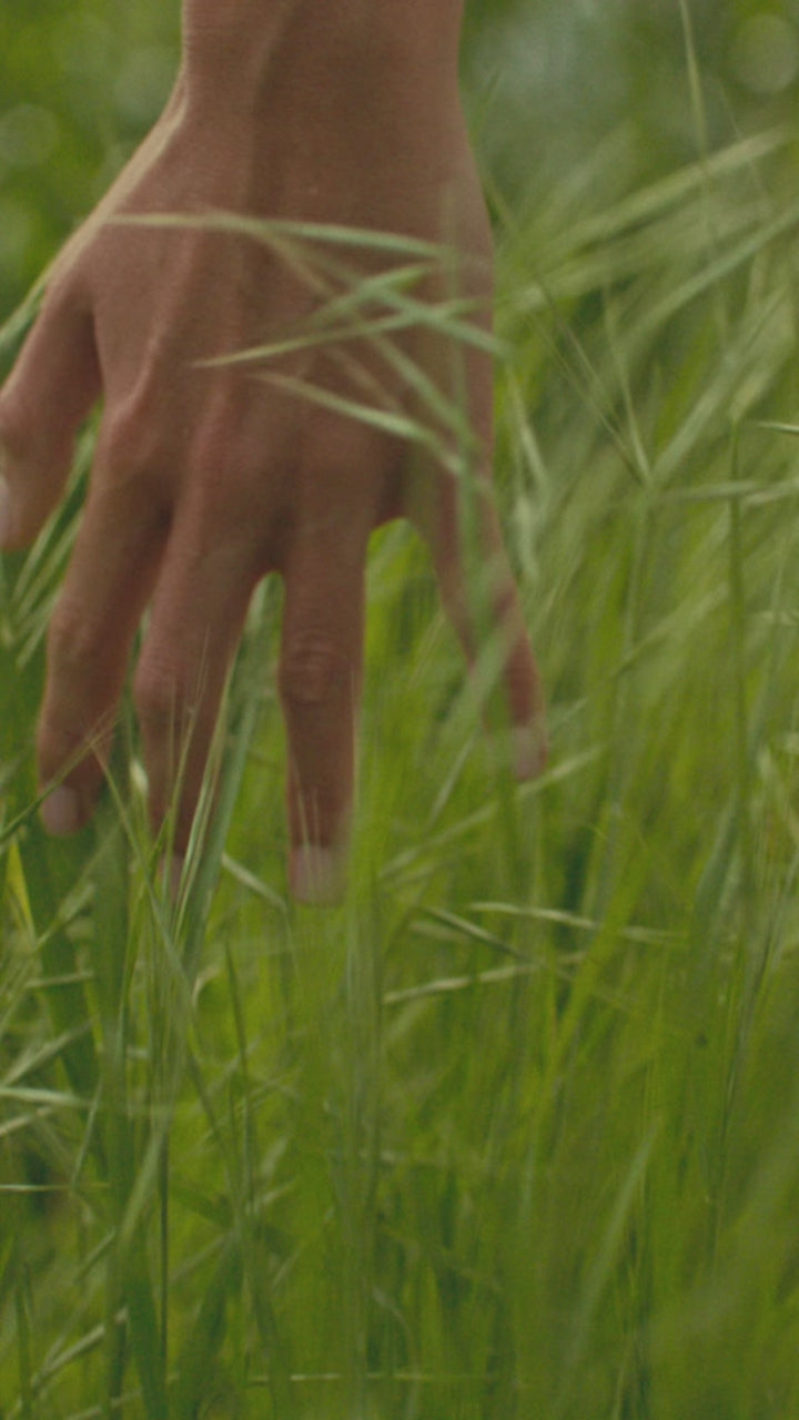 Close-up of a hand brushing through tall green grass, video thumbnail